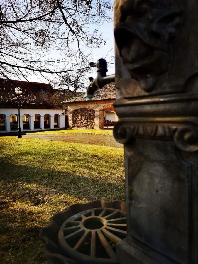 Ginti Panzio, Orseg Hotel Magyarszombatfa Exterior foto